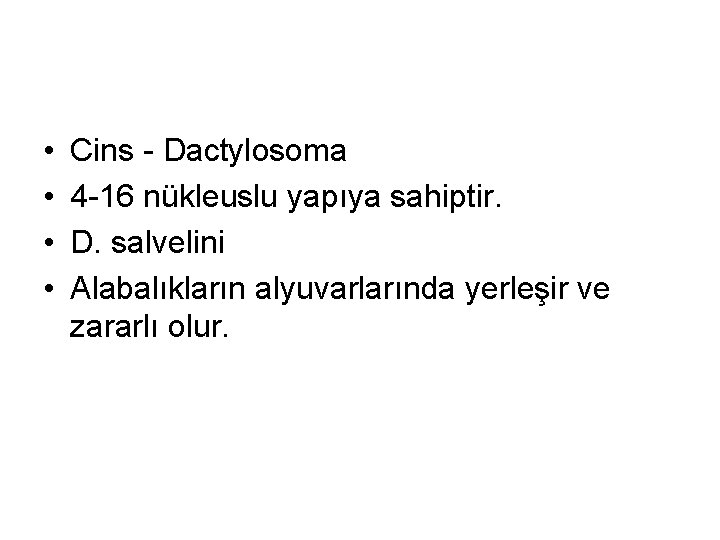  • • Cins - Dactylosoma 4 -16 nükleuslu yapıya sahiptir. D. salvelini Alabalıkların