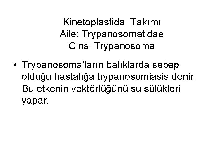 Kinetoplastida Takımı Aile: Trypanosomatidae Cins: Trypanosoma • Trypanosoma’ların balıklarda sebep olduğu hastalığa trypanosomiasis denir.