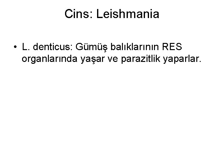 Cins: Leishmania • L. denticus: Gümüş balıklarının RES organlarında yaşar ve parazitlik yaparlar. 