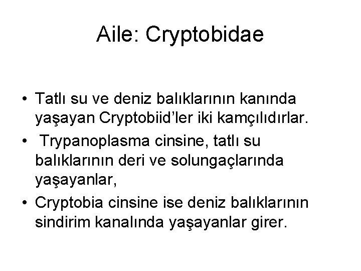 Aile: Cryptobidae • Tatlı su ve deniz balıklarının kanında yaşayan Cryptobiid’ler iki kamçılıdırlar. •