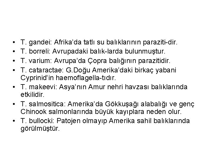  • • T. gandei: Afrika’da tatlı su balıklarının paraziti-dir. T. borreli: Avrupadaki balık-larda