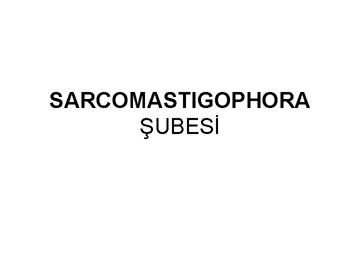 SARCOMASTIGOPHORA ŞUBESİ 