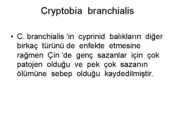 Cryptobia branchialis • C. branchialis ‘in cyprinid balıkların diğer birkaç türünü de enfekte etmesine