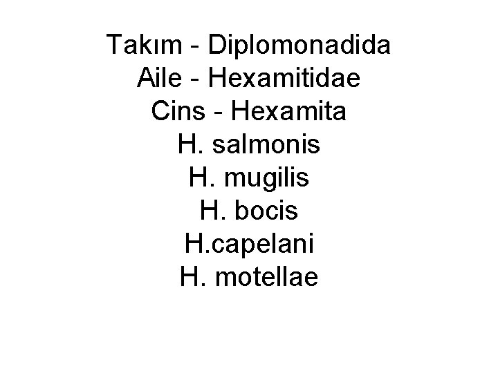 Takım - Diplomonadida Aile - Hexamitidae Cins - Hexamita H. salmonis H. mugilis H.