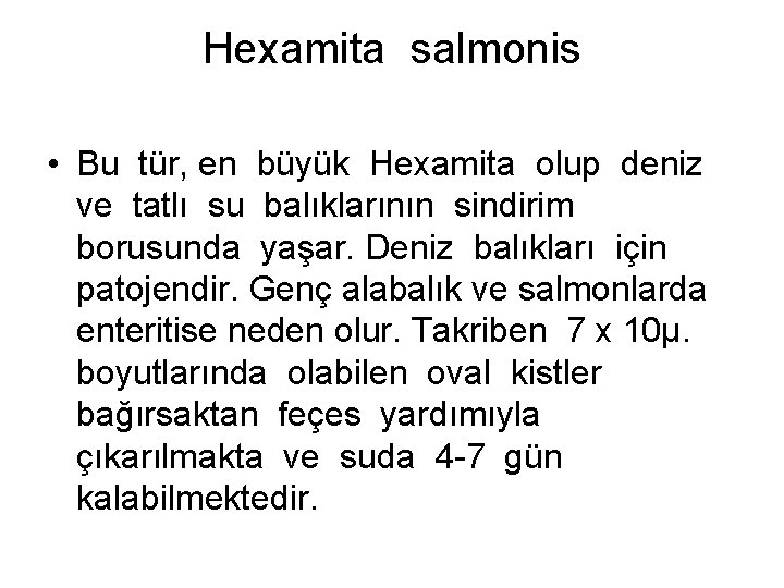 Hexamita salmonis • Bu tür, en büyük Hexamita olup deniz ve tatlı su balıklarının