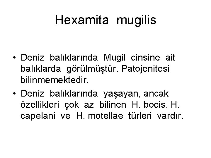 Hexamita mugilis • Deniz balıklarında Mugil cinsine ait balıklarda görülmüştür. Patojenitesi bilinmemektedir. • Deniz