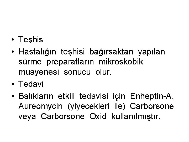  • Teşhis • Hastalığın teşhisi bağırsaktan yapılan sürme preparatların mikroskobik muayenesi sonucu olur.