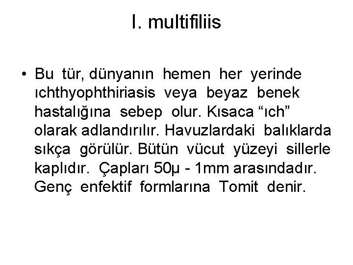 I. multifiliis • Bu tür, dünyanın hemen her yerinde ıchthyophthiriasis veya beyaz benek hastalığına