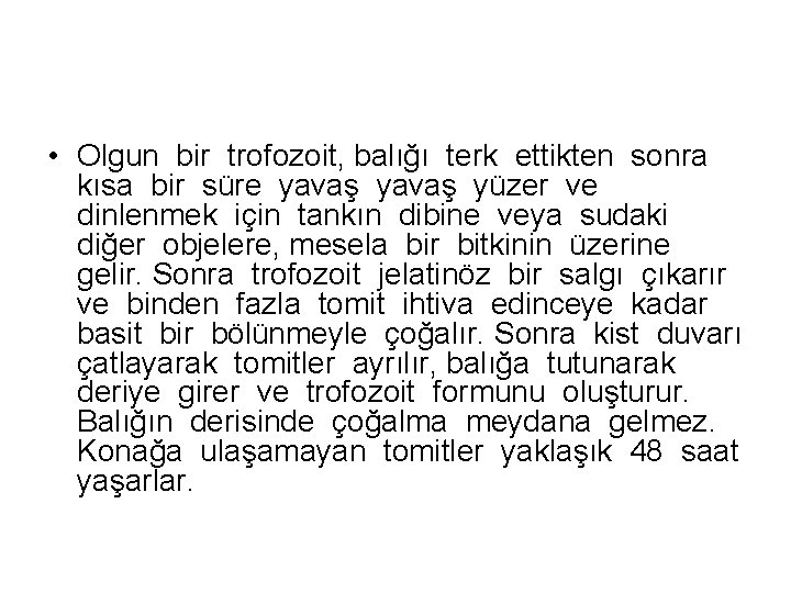 • Olgun bir trofozoit, balığı terk ettikten sonra kısa bir süre yavaş yüzer