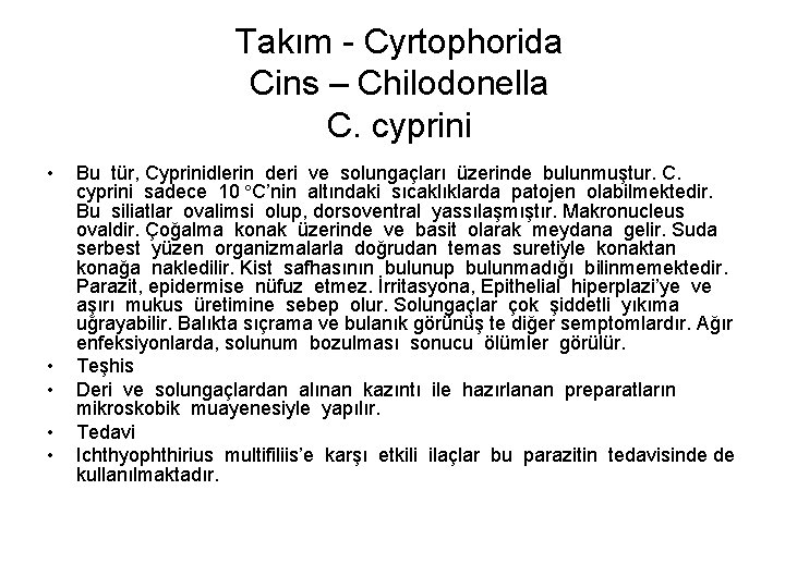 Takım - Cyrtophorida Cins – Chilodonella C. cyprini • • • Bu tür, Cyprinidlerin