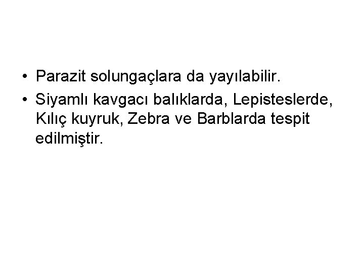  • Parazit solungaçlara da yayılabilir. • Siyamlı kavgacı balıklarda, Lepisteslerde, Kılıç kuyruk, Zebra
