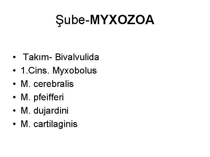 Şube-MYXOZOA • • • Takım- Bivalvulida 1. Cins. Myxobolus M. cerebralis M. pfeifferi M.