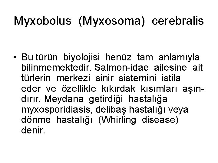 Myxobolus (Myxosoma) cerebralis • Bu türün biyolojisi henüz tam anlamıyla bilinmemektedir. Salmon-idae ailesine ait