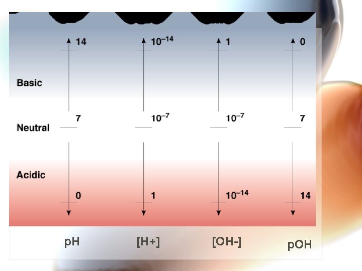 p. H [H+] [OH-] p. OH 