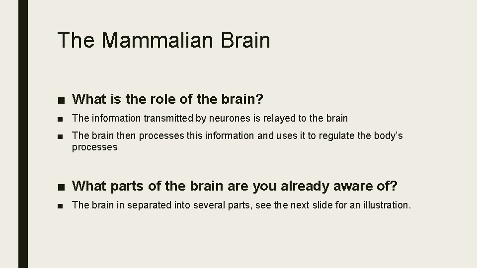 The Mammalian Brain ■ What is the role of the brain? ■ The information