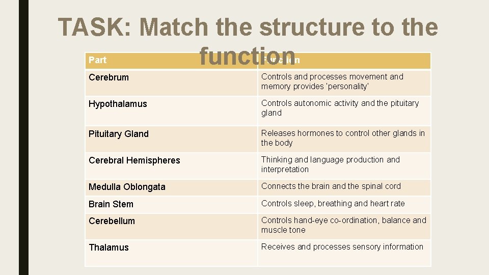 TASK: Match the structure to the function Part Function Cerebrum Controls and processes movement