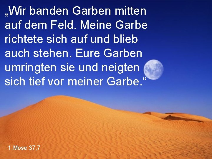 „Wir banden Garben mitten auf dem Feld. Meine Garbe richtete sich auf und blieb