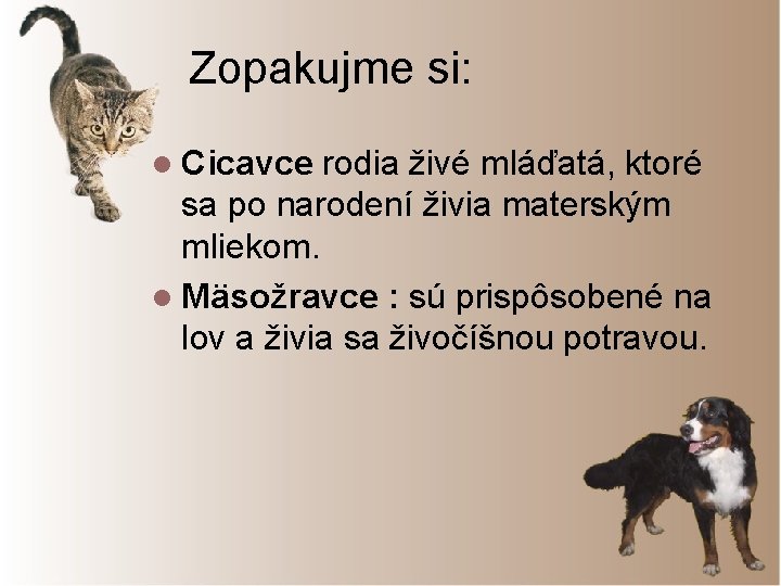 Zopakujme si: l Cicavce rodia živé mláďatá, ktoré sa po narodení živia materským mliekom.