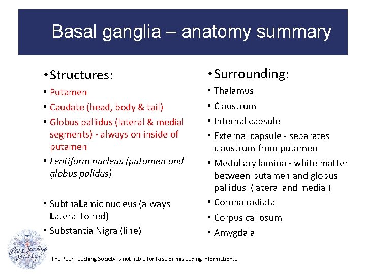 Basal ganglia – anatomy summary • Structures: • Surrounding: • Putamen • Caudate (head,
