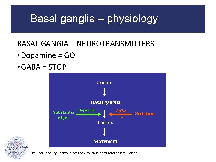 Basal ganglia – physiology BASAL GANGIA – NEUROTRANSMITTERS • Dopamine = GO • GABA