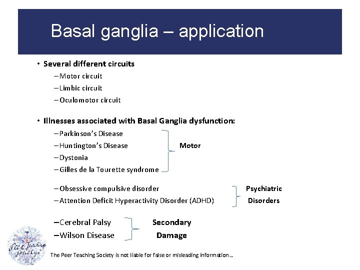 Basal ganglia – application • Several different circuits – Motor circuit – Limbic circuit