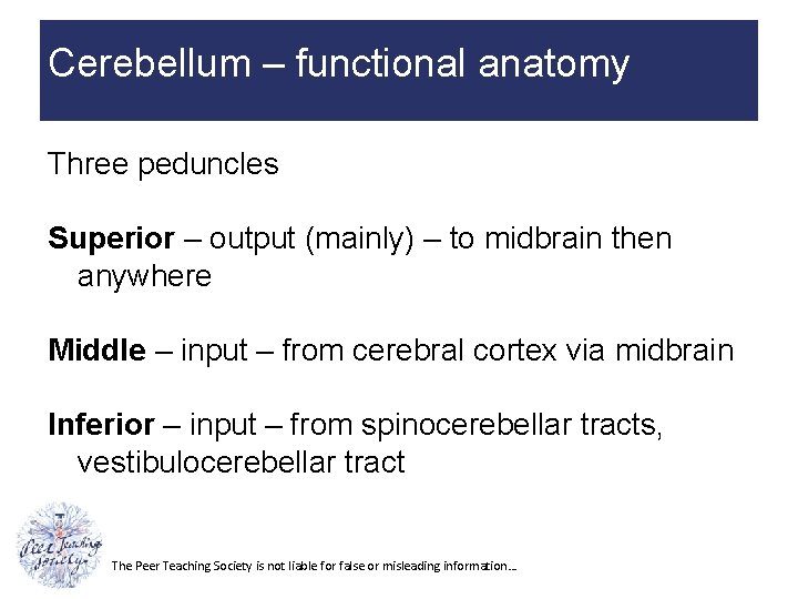 Cerebellum – functional anatomy Three peduncles Superior – output (mainly) – to midbrain then