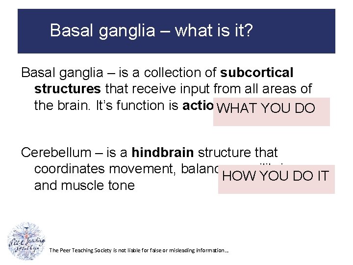 Basal ganglia – what is it? Basal ganglia – is a collection of subcortical
