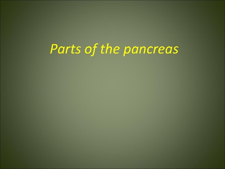 Parts of the pancreas 