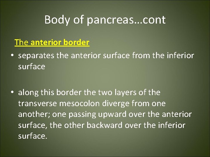 Body of pancreas…cont The anterior border • separates the anterior surface from the inferior