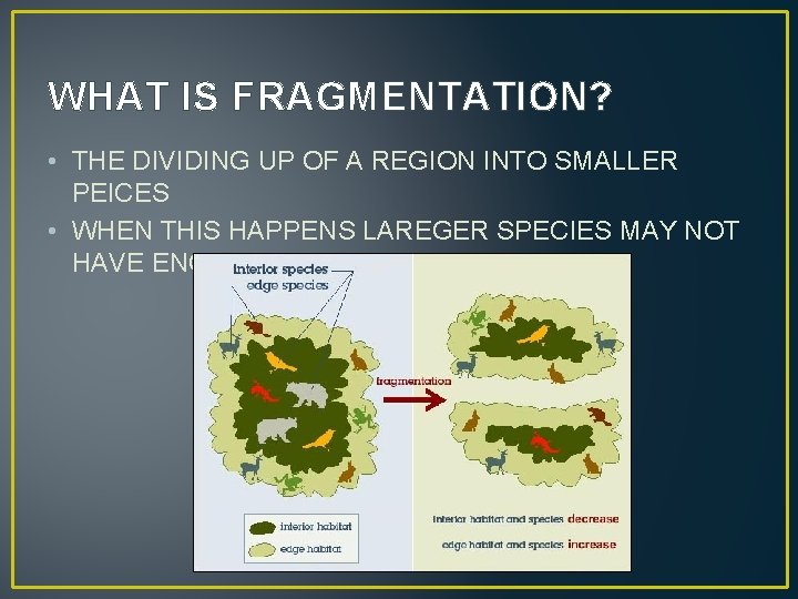 WHAT IS FRAGMENTATION? • THE DIVIDING UP OF A REGION INTO SMALLER PEICES •
