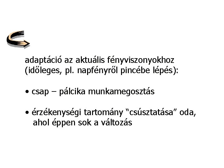 adaptáció az aktuális fényviszonyokhoz (időleges, pl. napfényről pincébe lépés): • csap – pálcika munkamegosztás