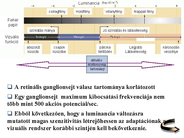 Luminancia csillagfény Holdfény villanyfény Nappali fény Fehér papír színlátás hiánya Jó színlátás és látásélesség