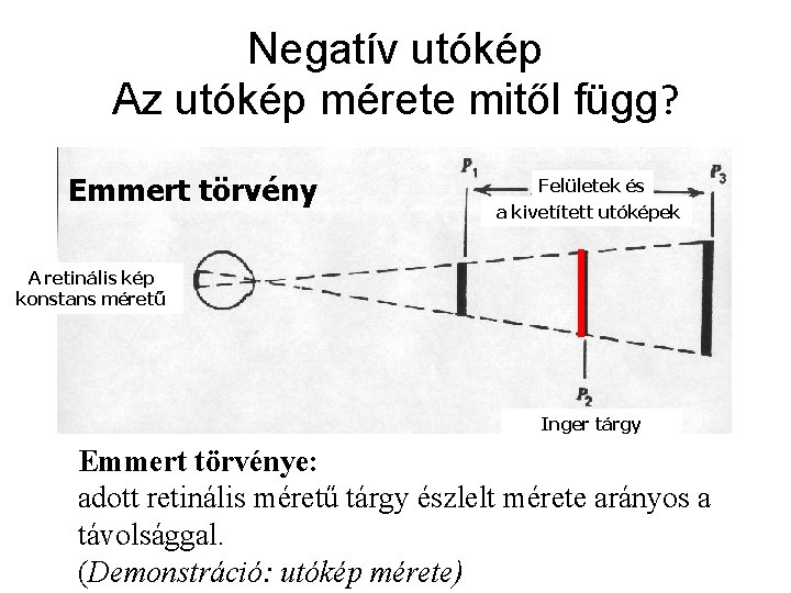 Negatív utókép Az utókép mérete mitől függ? Emmert törvény Felületek és a kivetített utóképek