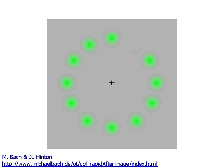 M. Bach & JL Hinton http: //www. michaelbach. de/ot/col_rapid. Afterimage/index. html 