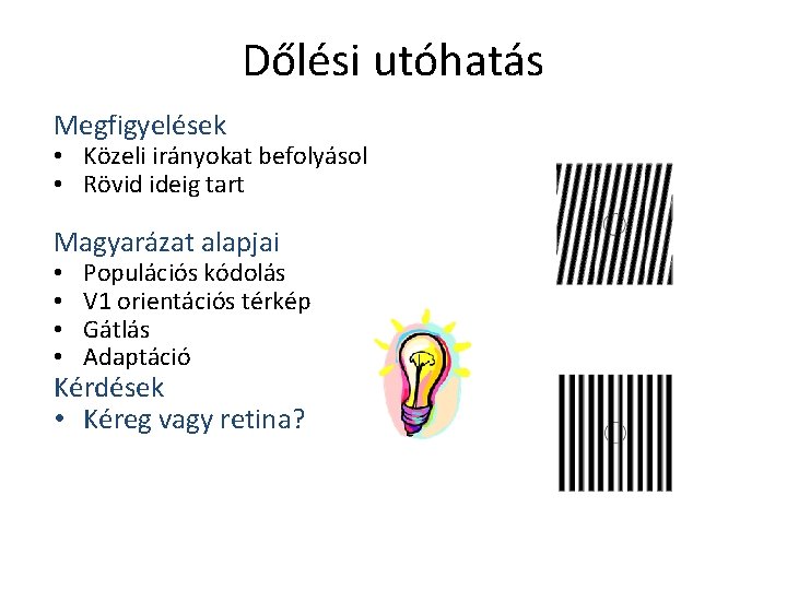 Dőlési utóhatás Megfigyelések • Közeli irányokat befolyásol • Rövid ideig tart Magyarázat alapjai •