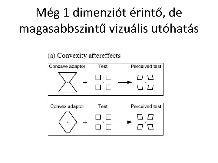 Még 1 dimenziót érintő, de magasabbszintű vizuális utóhatás 