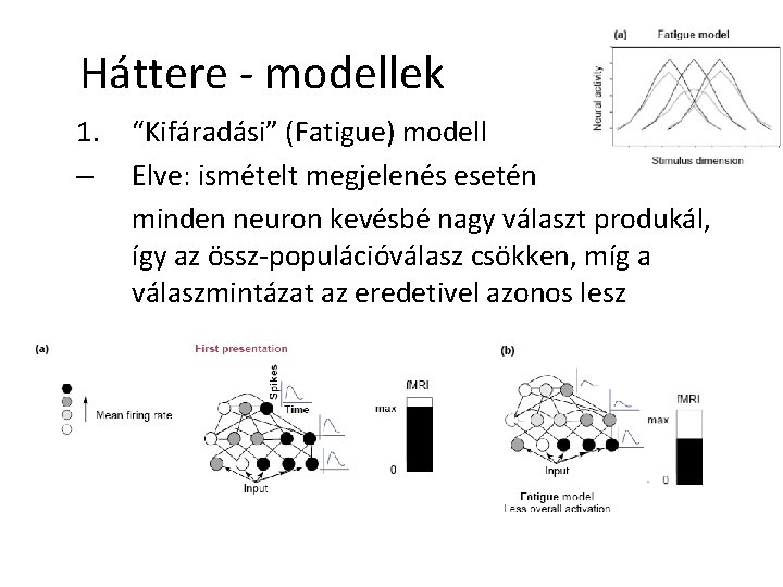 Háttere - modellek 1. – “Kifáradási” (Fatigue) modell Elve: ismételt megjelenés esetén minden neuron