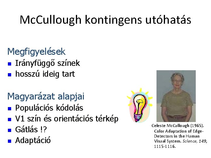 Mc. Cullough kontingens utóhatás Megfigyelések n n Irányfüggő színek hosszú ideig tart Magyarázat alapjai