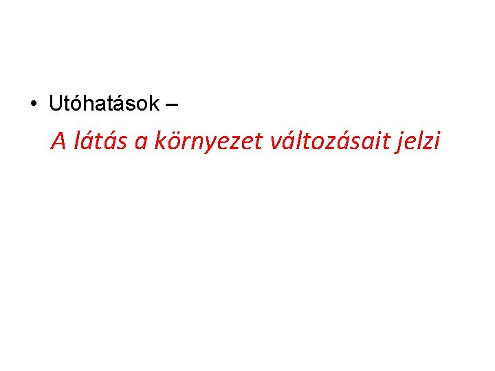  • Utóhatások – A látás a környezet változásait jelzi 