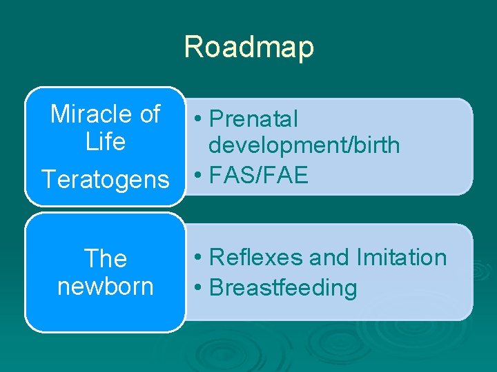 Roadmap Miracle of • Prenatal Life development/birth Teratogens • FAS/FAE The newborn • Reflexes
