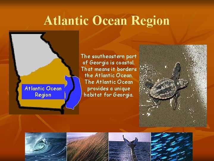 Atlantic Ocean Region The southeastern part of Georgia is coastal. That means it borders