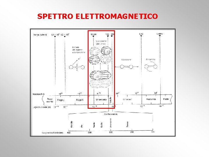 SPETTRO ELETTROMAGNETICO 