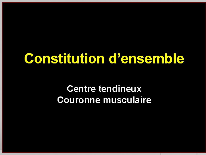 Constitution d’ensemble Centre tendineux Couronne musculaire 