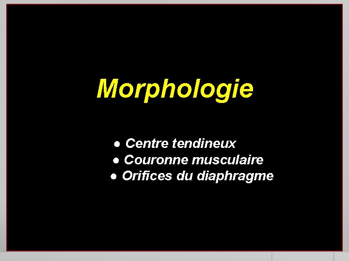 Morphologie ● Centre tendineux ● Couronne musculaire ● Orifices du diaphragme 