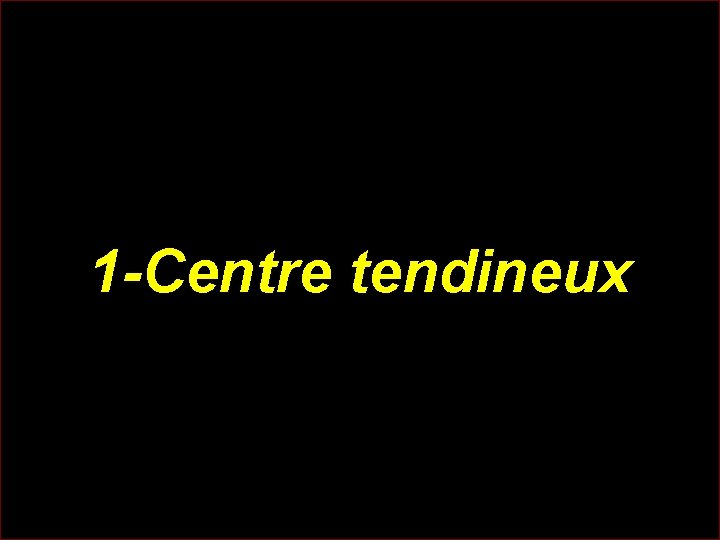 1 -Centre tendineux 