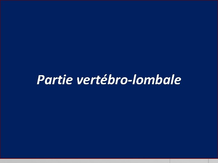 Partie vertébro-lombale 