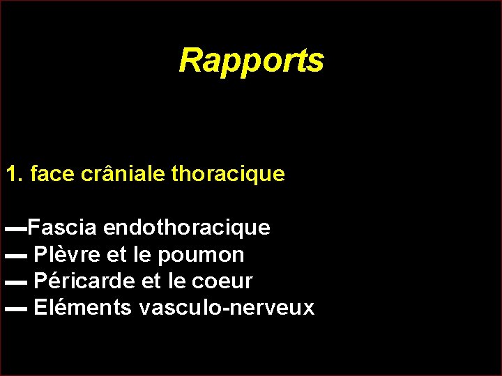 Rapports 1. face crâniale thoracique ▬Fascia endothoracique ▬ Plèvre et le poumon ▬ Péricarde