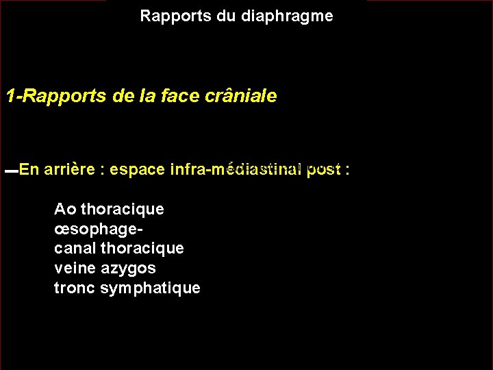 Rapports du diaphragme 1 -Rapports de la face crâniale par l’intermédiaire du fascia ▬En