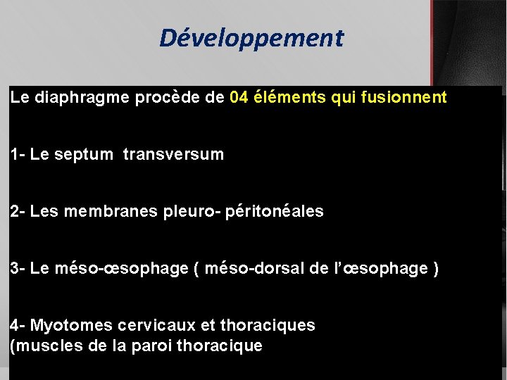 Développement Le diaphragme procède de 04 éléments qui fusionnent 1 - Le septum transversum