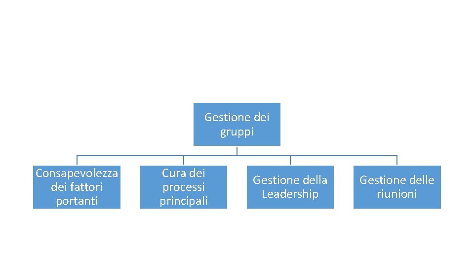 Gestione dei gruppi Consapevolezza dei fattori portanti Cura dei processi principali Gestione della Leadership